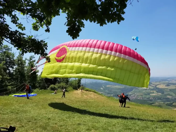 Parapendio Bigolden 3